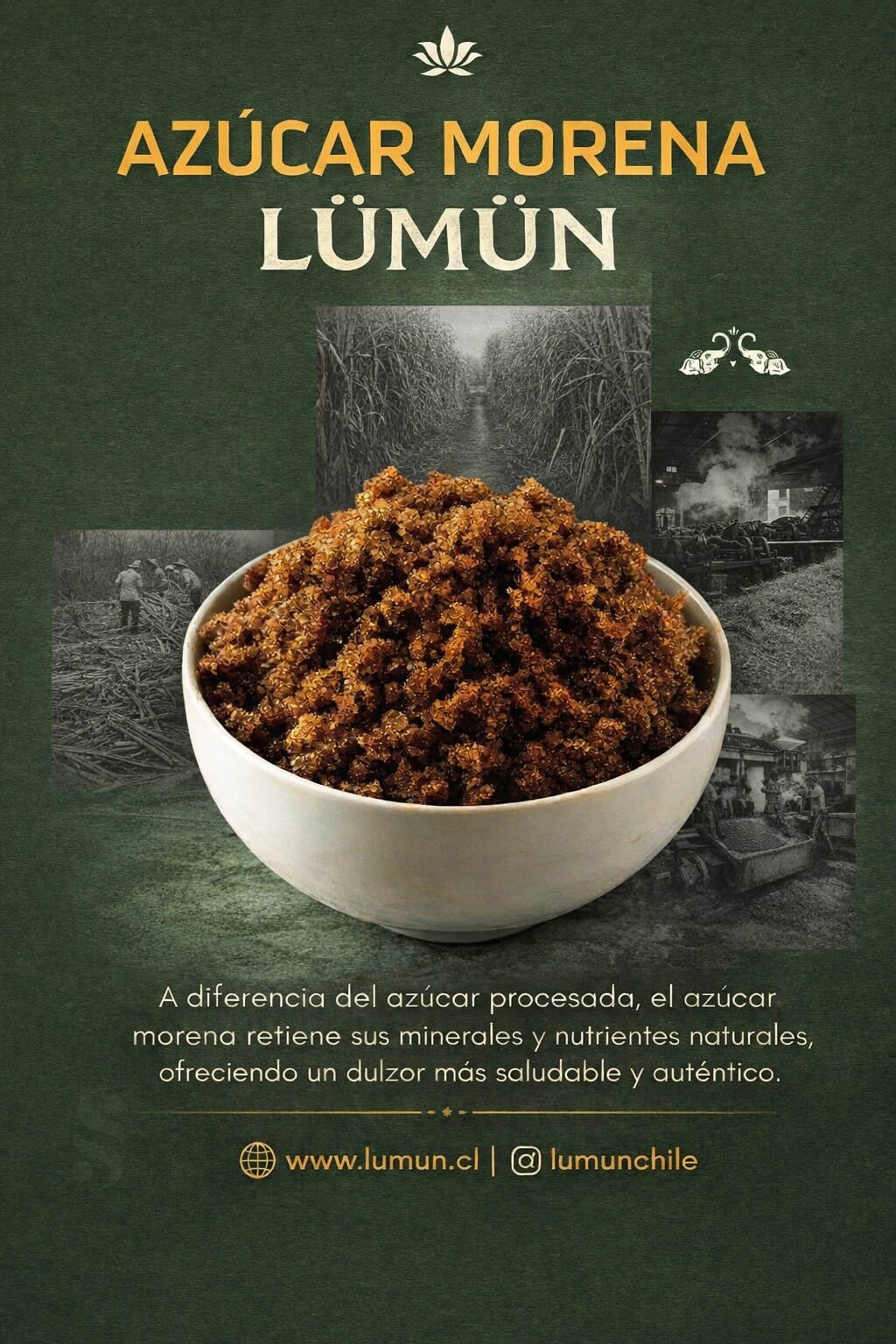 Azúcar Morena de Caña